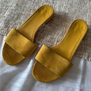 Mansur Gavriel Mustard Suede Slide Sandals